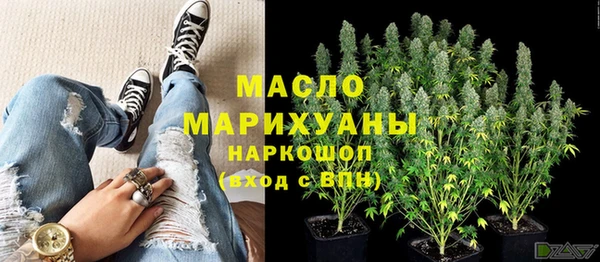 дмт Пересвет