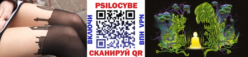 Псилоцибиновые грибы Cubensis  как найти   ОМГ ОМГ как войти  Лагань 